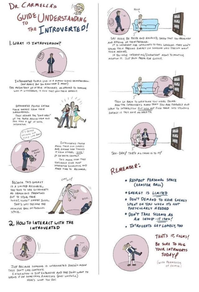 Guide To Understanding the Introverted